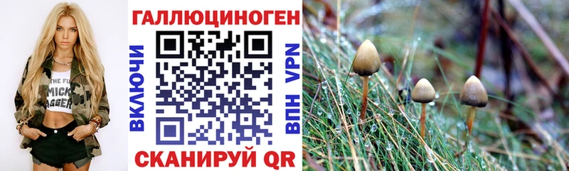 Псилоцибиновые грибы мицелий  сколько стоит  Нерехта 